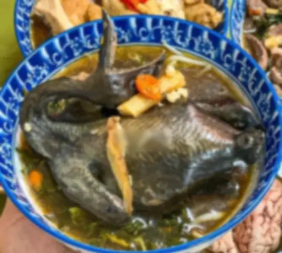 Hình ảnh Gà ác tần