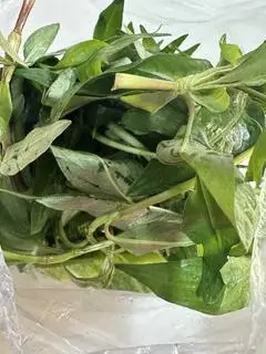 Hình ảnh Rau Thêm
