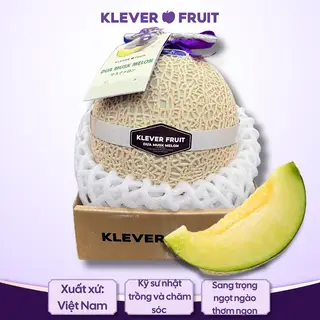Hình ảnh Dưa giống Nhật Musk Melon - 01 quả size S  - Klever Fruit