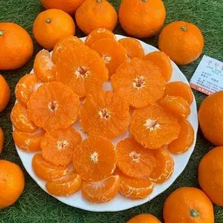 Hình ảnh Quýt 