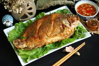 Hình ảnh cá chiên