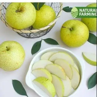 Hình ảnh Lê đường bổ sẵn hộp 500gr