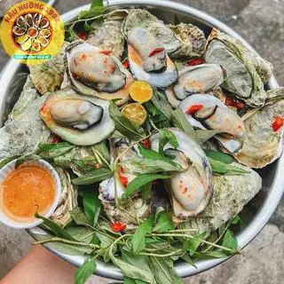 Hình ảnh Hàu hấp