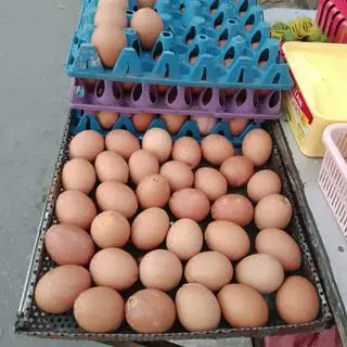 Hình ảnh Combo 10 hột gà nướng