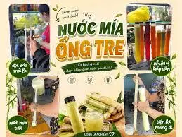 Hình ảnh MÍA DÂU ỐNG TRE