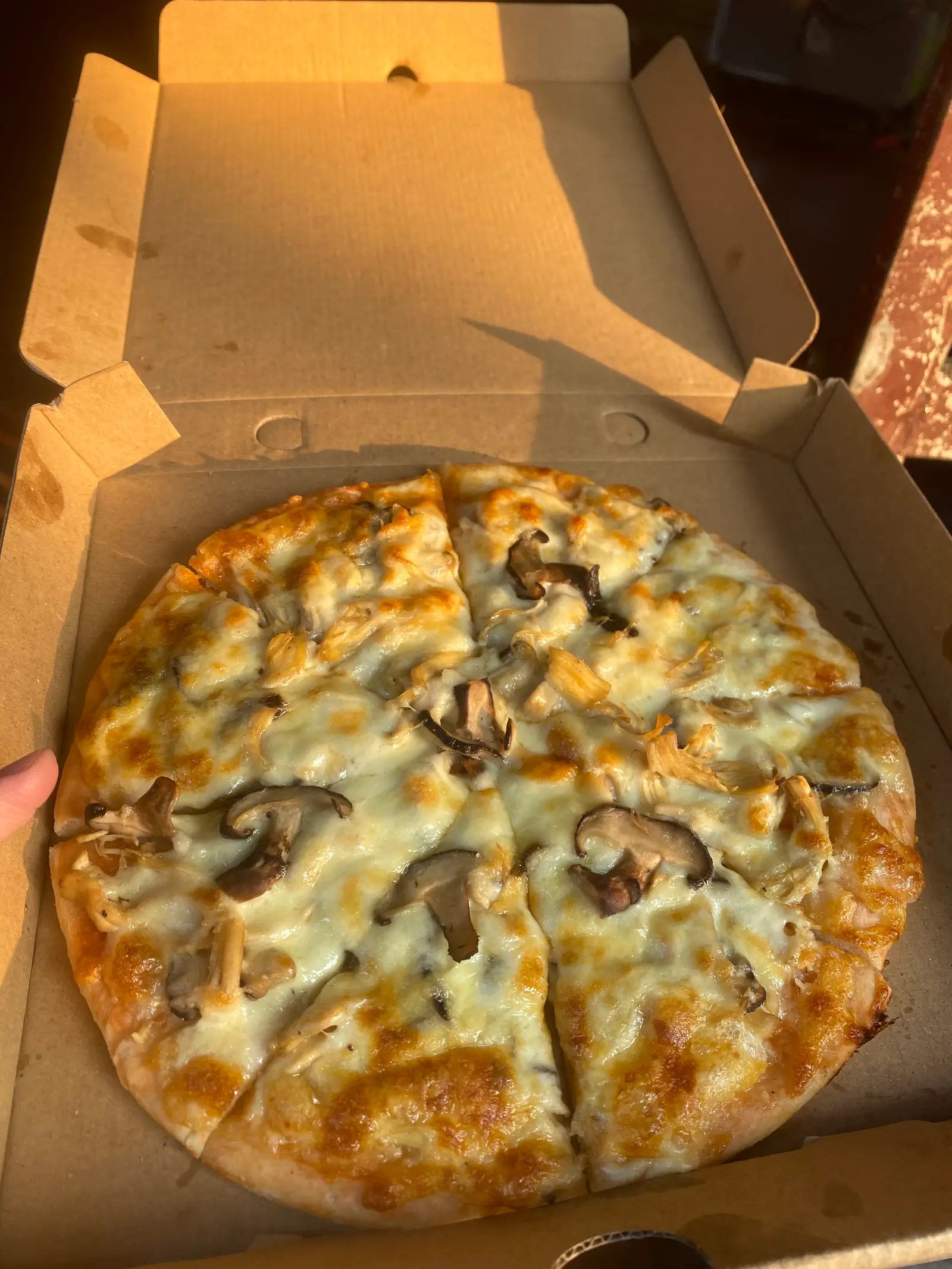 Hình ảnh Pizza Gà Nấm M