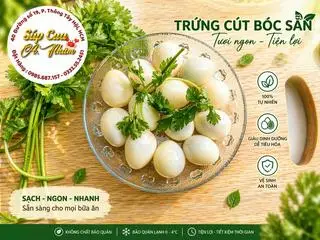 Hình ảnh trứng Cút