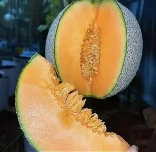 Hình ảnh Dưa lưới