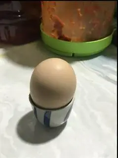 Hình ảnh gà lộn 