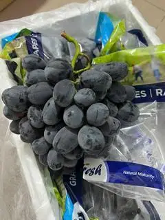 Hình ảnh nho đen úc