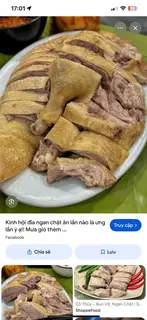 Hình ảnh ngan chặt đĩa xuất lớn