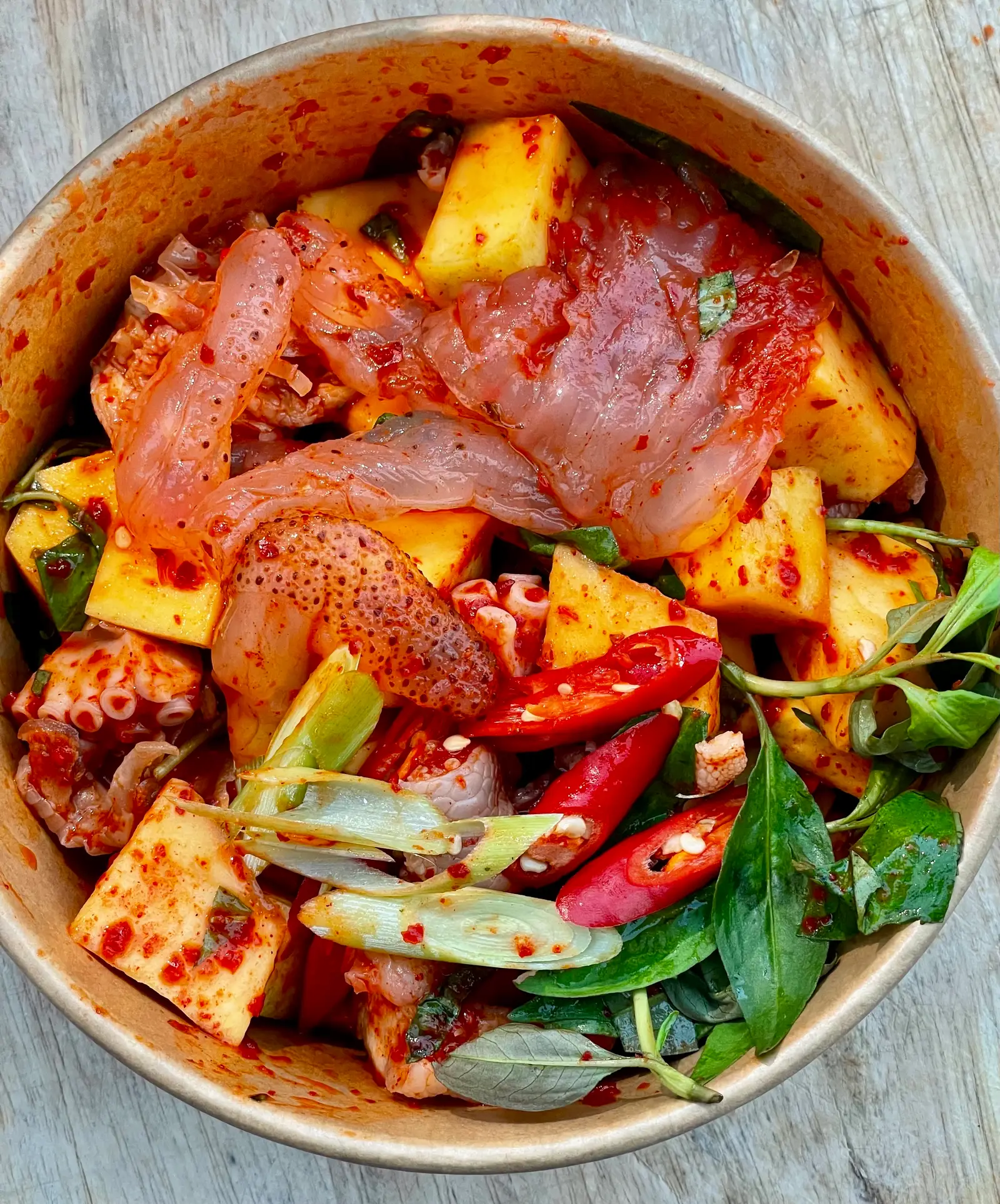 Hình ảnh Sứa chân mèo