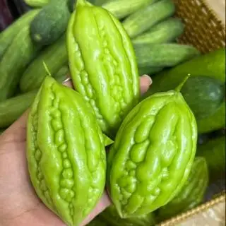 Hình ảnh Trái khổ qua/mướp đắng 300g