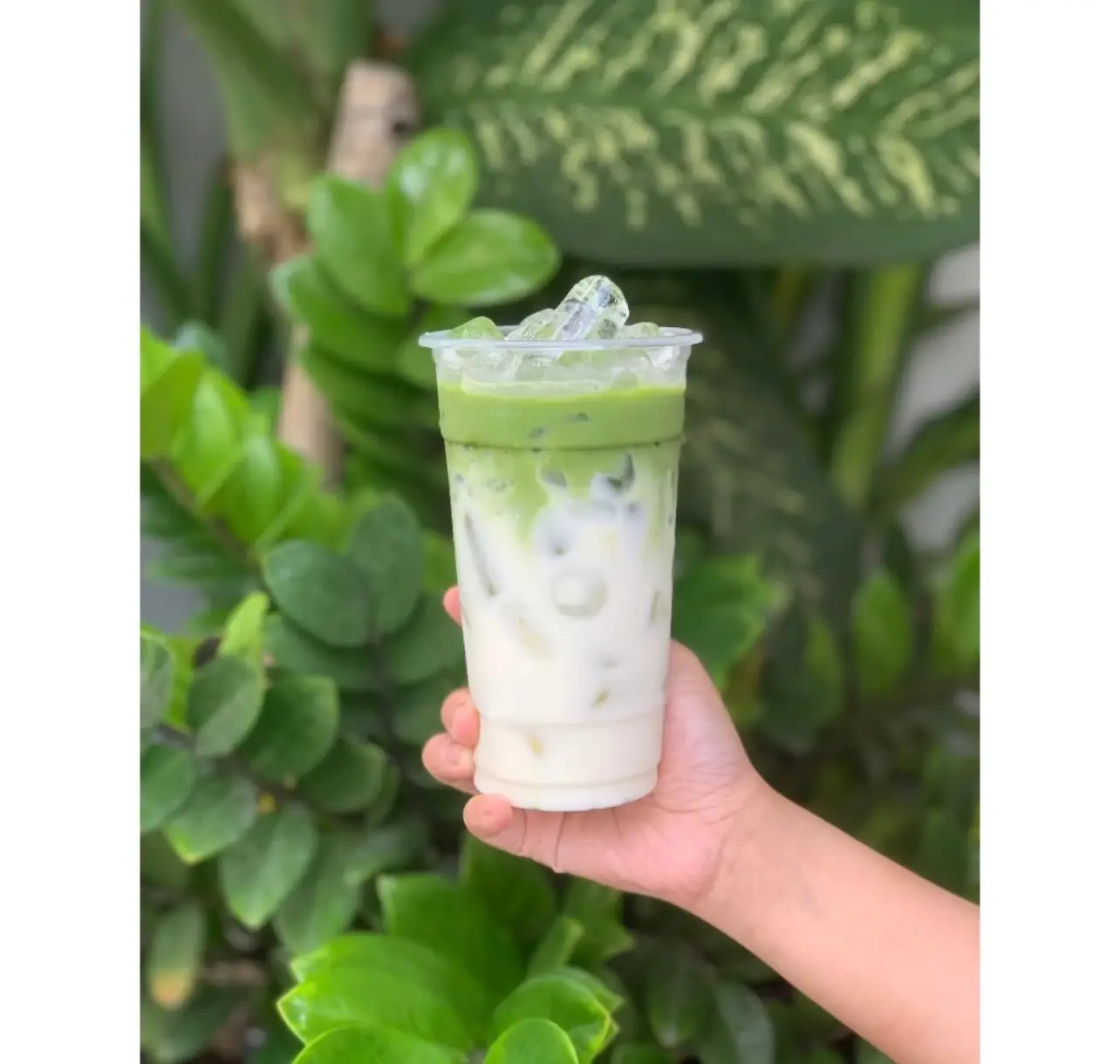 Hình ảnh Matcha sữa gấu