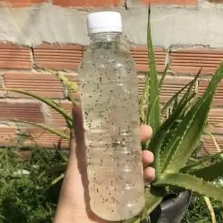 Hình ảnh Nha Đam Hạt Chia