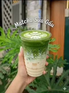 Hình ảnh Matcha Sữa Gấu