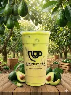 Hình ảnh Trà Sữa Bơ M
