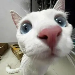 Hình ảnh chúc ngon miệng 