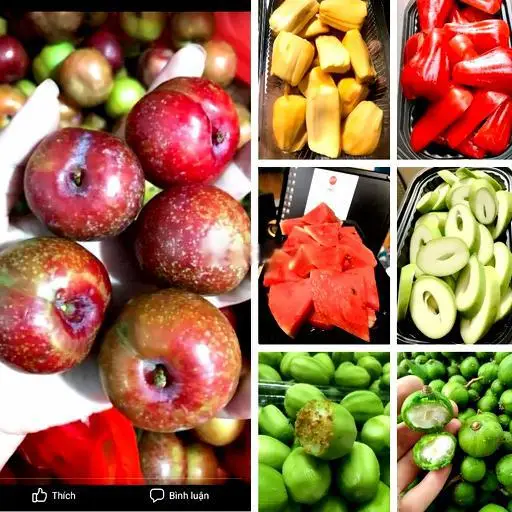 Hình ảnh Combo 4 Hộp Hoa Quả Tự Chọn (Không Kèm Chấm)