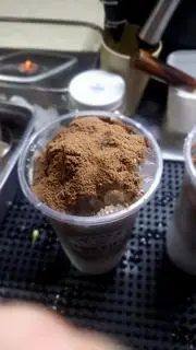 Hình ảnh MiLo dầm