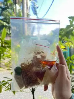 Hình ảnh Bánh tráng dẻo sate