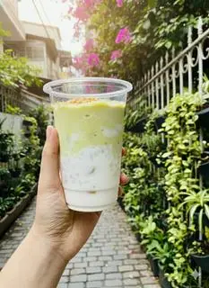 Hình ảnh Bơ già dừa non 
