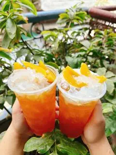 Hình ảnh Trà đào