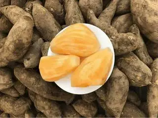 Hình ảnh Sâm Đất Đà Lạt (350gram)