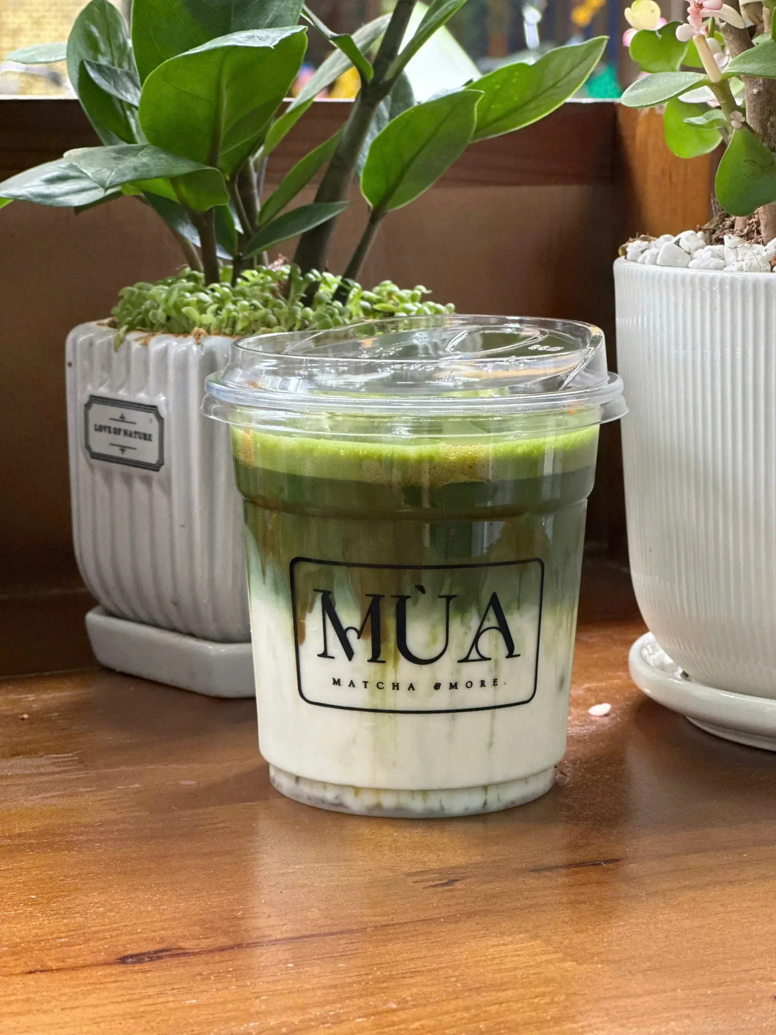 Hình ảnh Matcha Caramel Haru