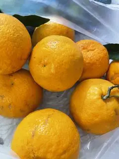 Hình ảnh quýt sim 1kg