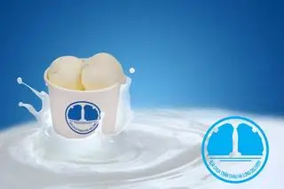 Hình ảnh Sữa chua trân châu trắng cốt dừa