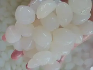 Hình ảnh Hạt đác tươi Nha Trang