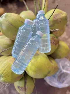 Hình ảnh Dừa Xiêm Tươi Đóng Chai 500ml