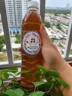 Hình ảnh Nước Sâm