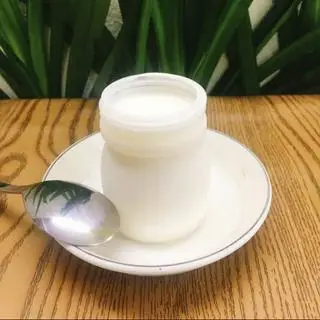 Hình ảnh Yaour hủ 