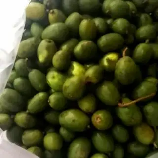 Hình ảnh Combo 3kg Cóc Bao Tử
