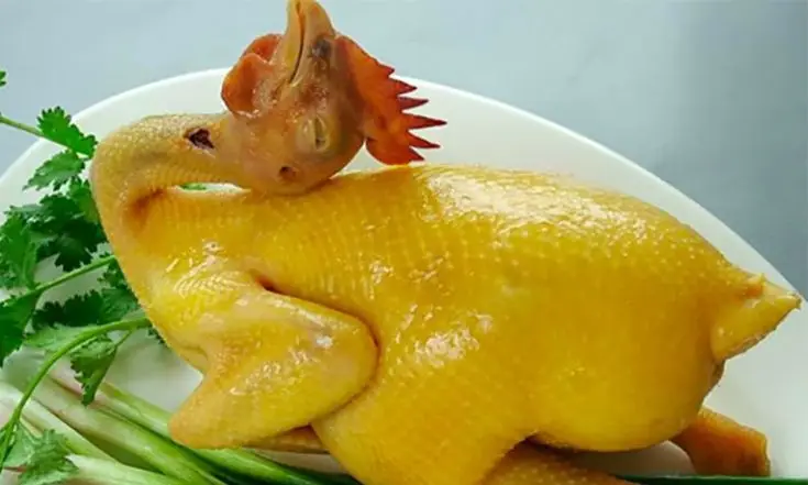 Hình ảnh gà ta nguyên con
