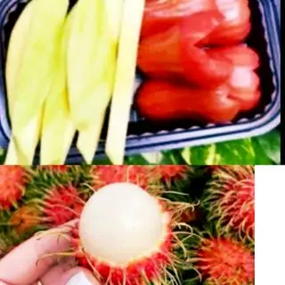 Hình ảnh chôm chôm thái+mận an phước+xoài chua ngọt tặng kèm bịch muối nhỏ (hộp 400g)