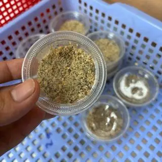 Hình ảnh 1 Hủ Muối Mè