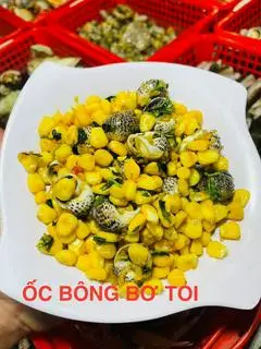 Hình ảnh Ốc Bông Xào Bơ Tỏi Bắp 