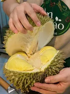 Hình ảnh Sầu Riêng Thái Hữu Cơ - Hộp 500g