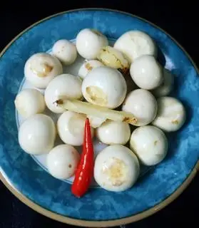 Hình ảnh Cà pháo 
