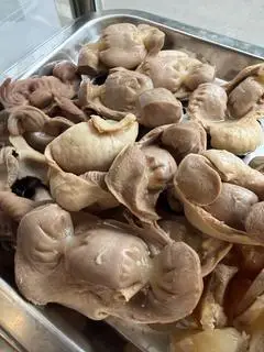Hình ảnh Mề gà