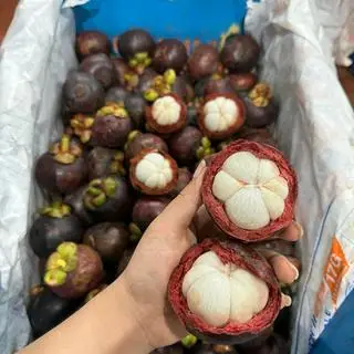 Hình ảnh 1kg măng cụt thái
