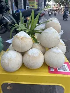 Hình ảnh Combo 2 quả dừa trọc