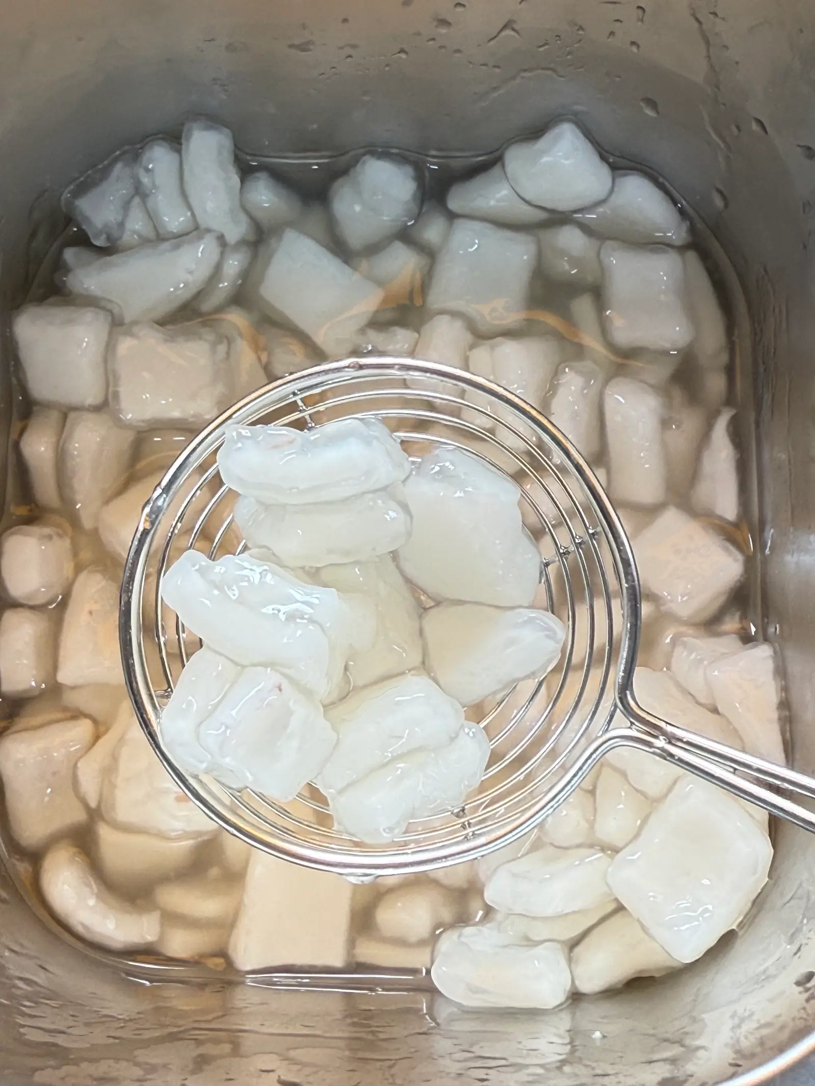 Hình ảnh Trân châu dừa
