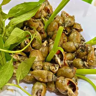 Hình ảnh ốc cà Na xào bơ tỏi