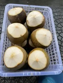 Hình ảnh Dừa xiêm gọt 2 đầu 