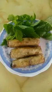 Hình ảnh nem rán 
