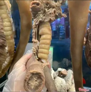 Hình ảnh Cuống họng